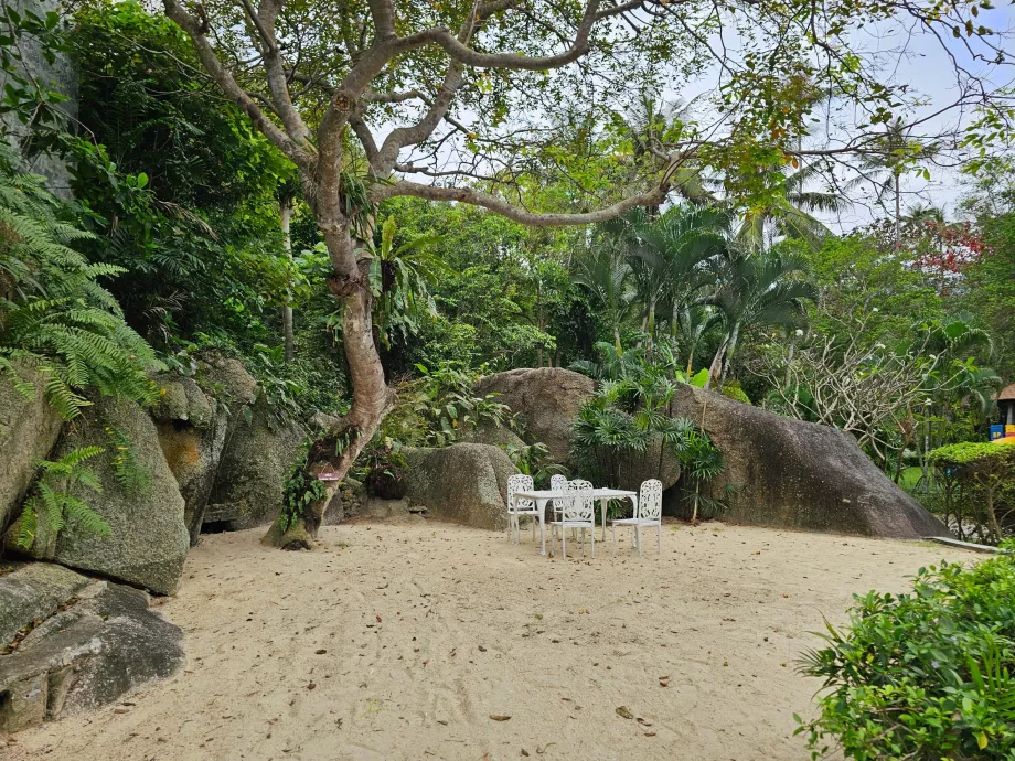 Stând în grădină