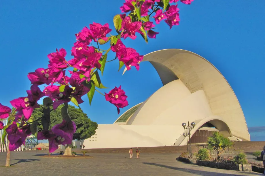 Auditorium Santa Cruz