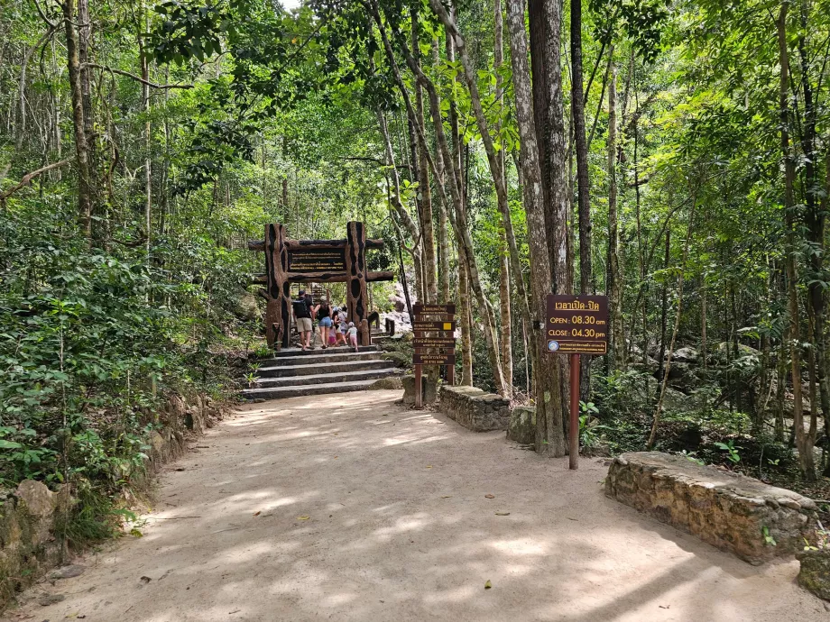 Program de funcționare