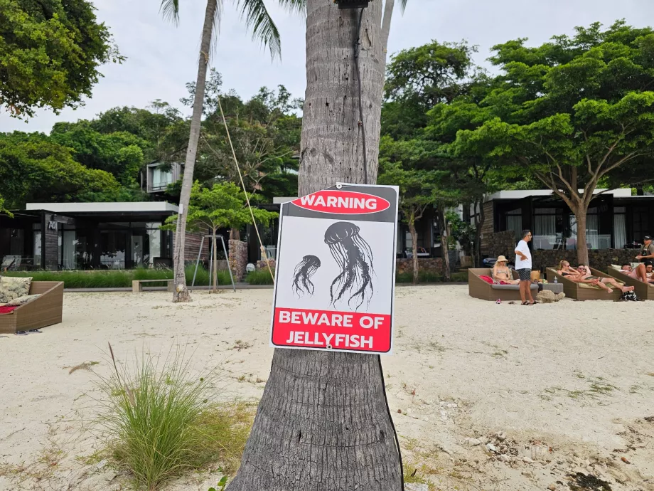 Rin Nai Beach, avertizare cu privire la meduze