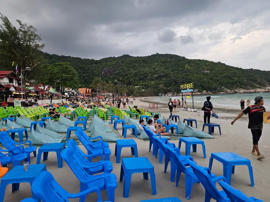 Pregătiri pentru petrecerea de Lună Plină - după-amiază