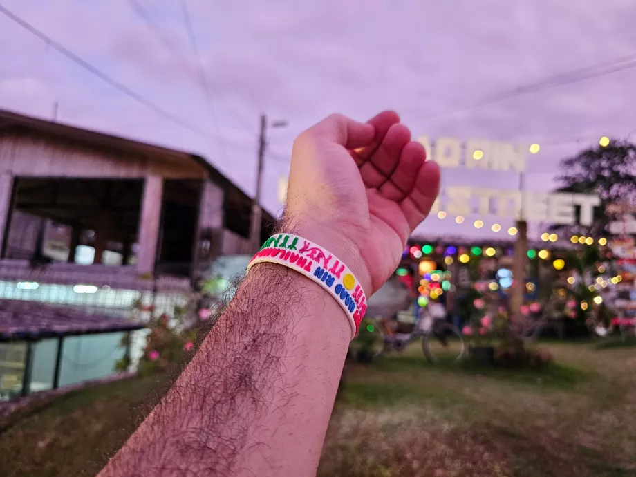 Petrecere cu lună plină