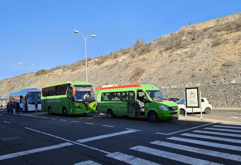 Autobuzele de transport public opresc în fața terminalului