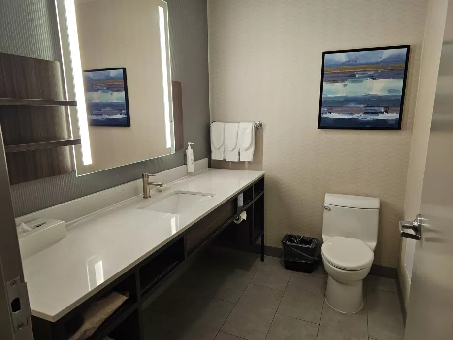 Hilton Garden Inn, baie