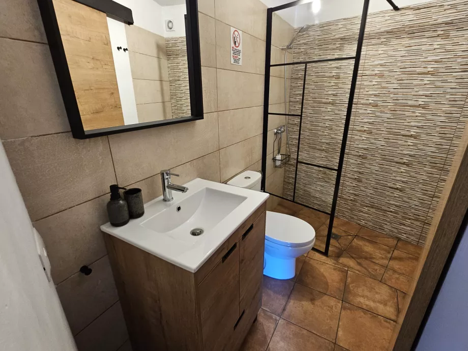 Baie în apartamentul La Era