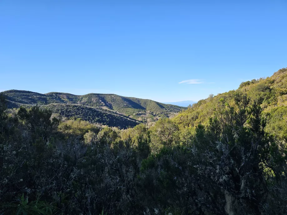 Peisaj în jurul Laguna Grande