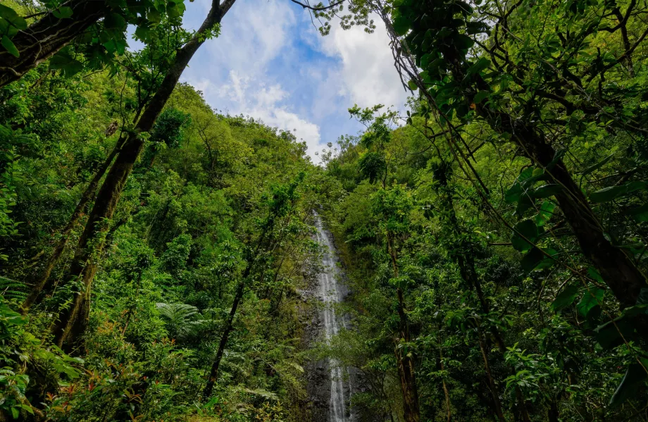 Cascada Manoa