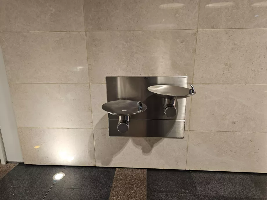 Apă potabilă