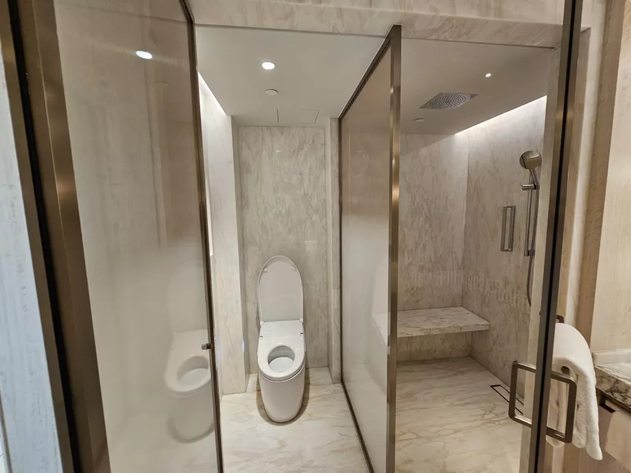 Duș și toaletă - ușă deschisă