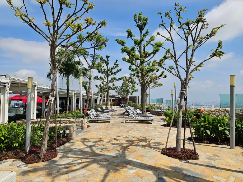 Șezlonguri pe terasa de pe acoperiș a hotelului MBS