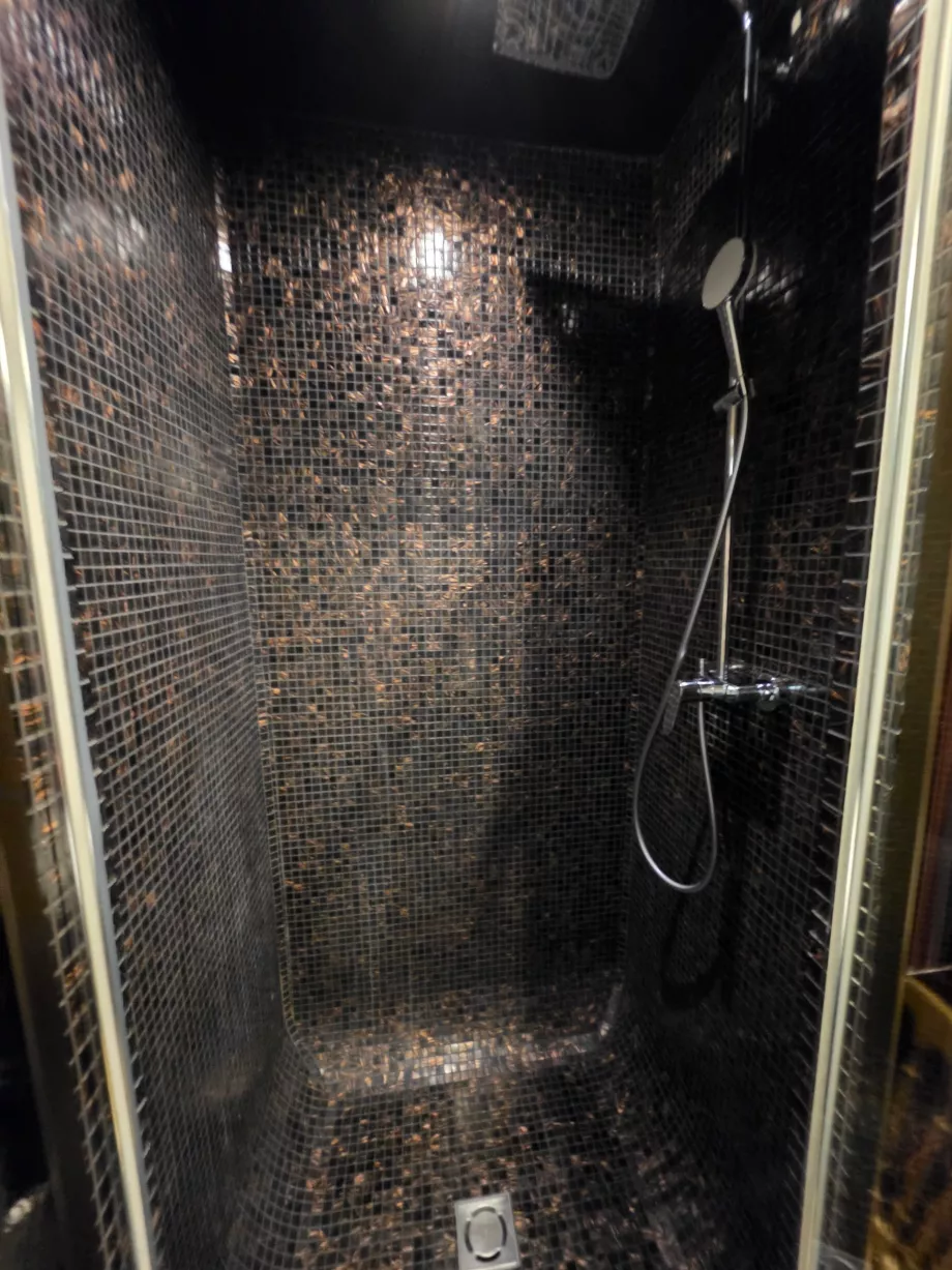 Cabina de duș din baia alăturată