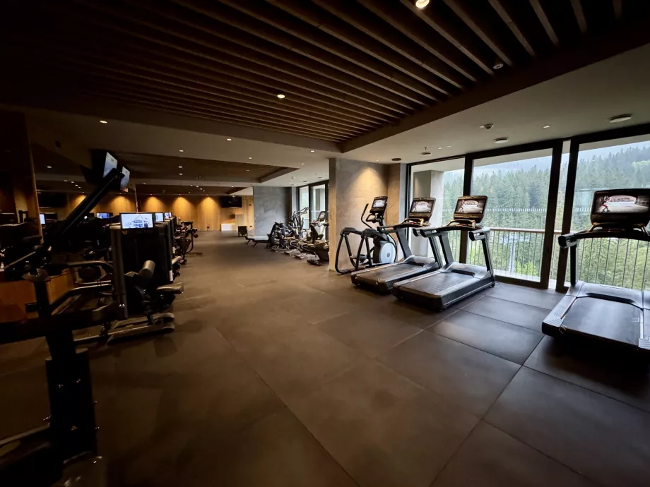 Centru de fitness Swissotel Damian Jasna