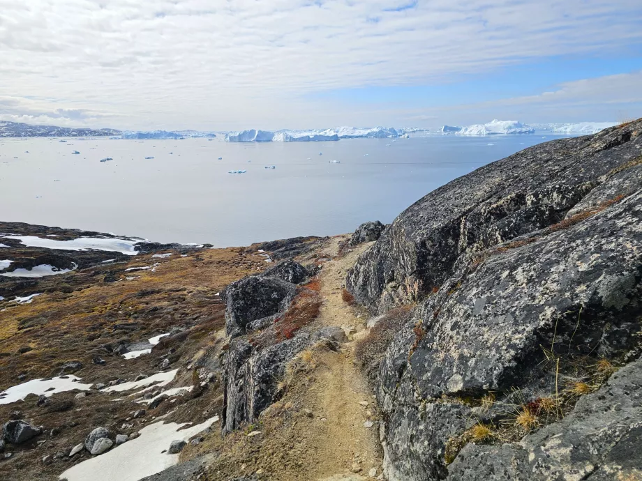 Drumeții de-a lungul Icefiord