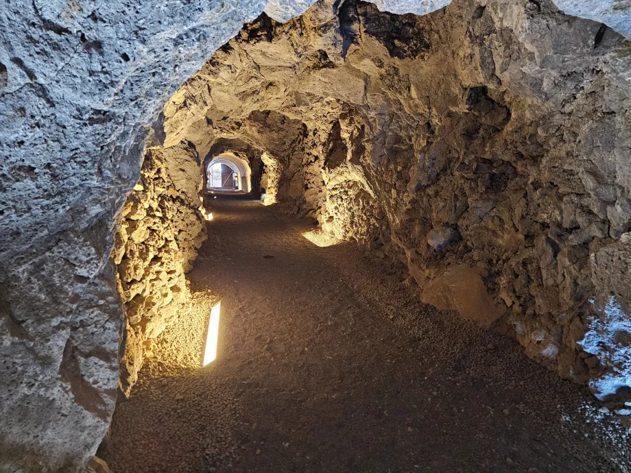 Ecomuzeu de Guineea