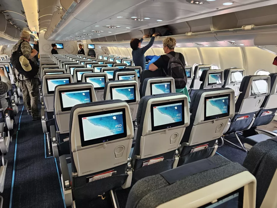 Clasa Economy, Airbus A330-800