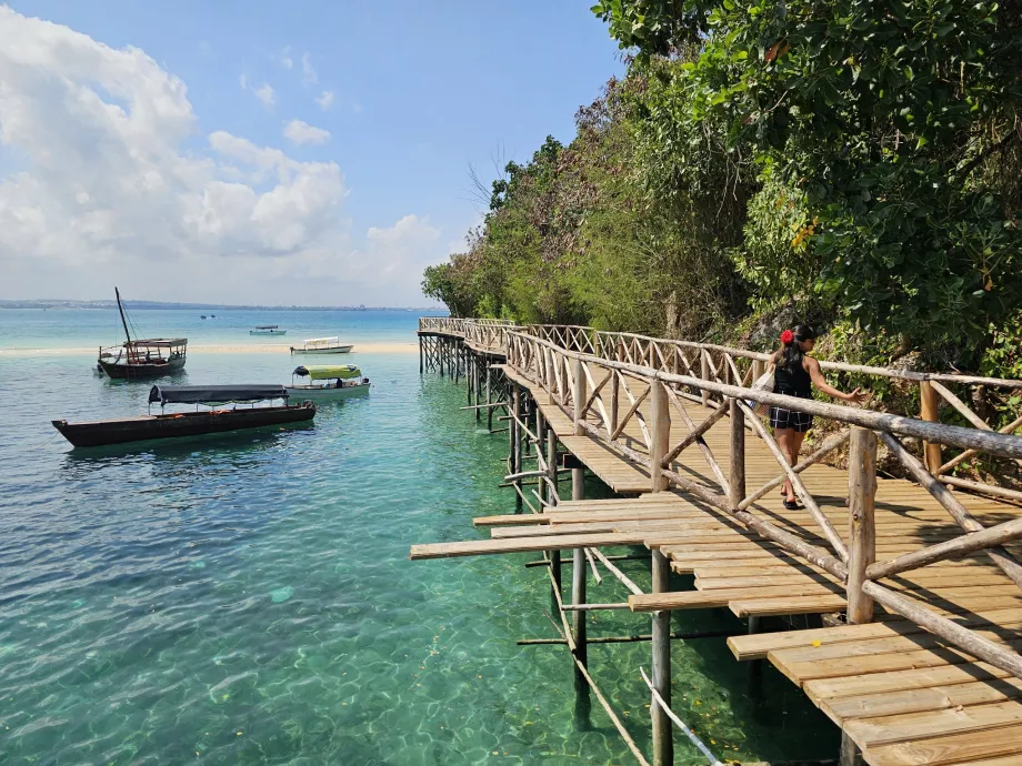 Prison Island, sosire