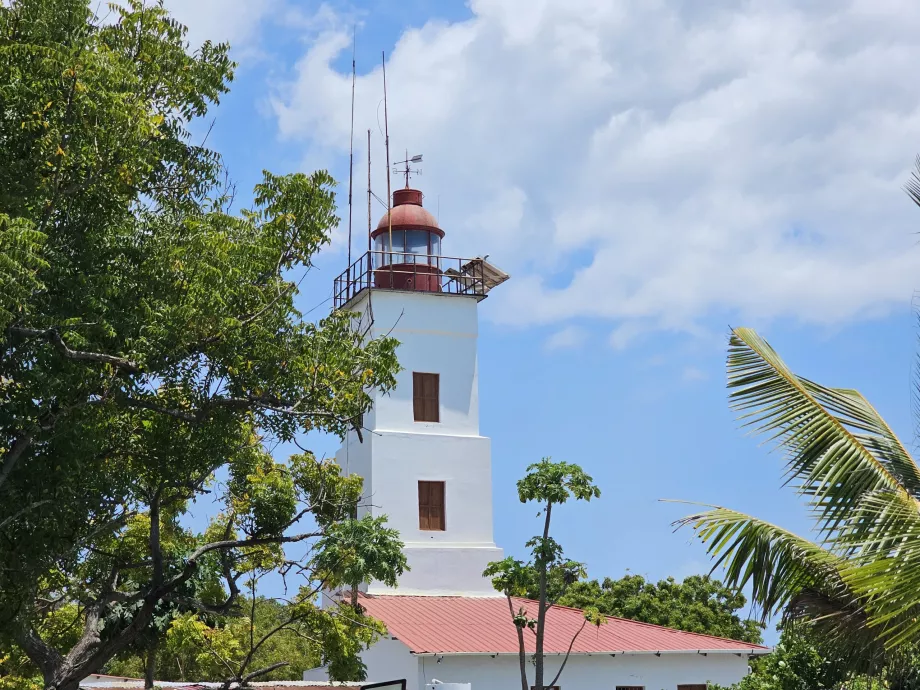 Nungwi, far