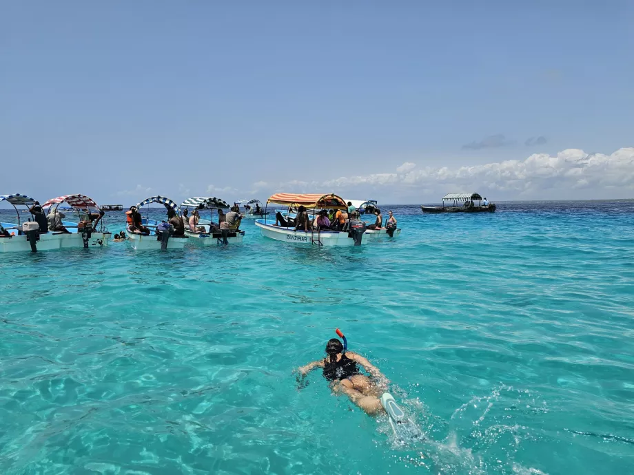 Snorkeling în vecinătatea Atolul Mnemba