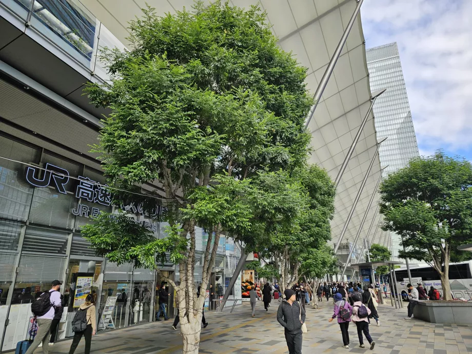 Stația centrală de autobuz Tokyo