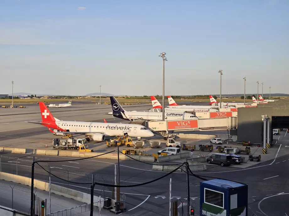 Vedere a aerodromului