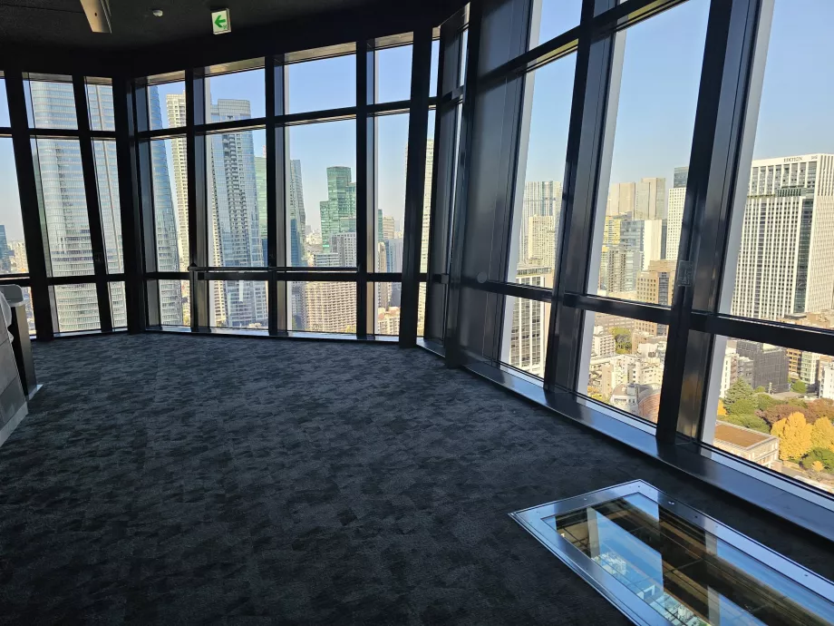 Platforma principală de observare