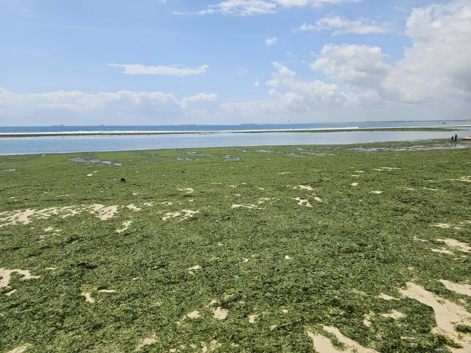 Plaja Coco