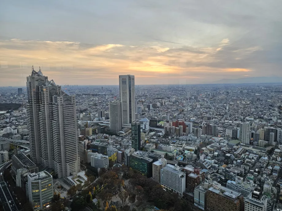 Clădirea guvernului metropolitan din Tokyo