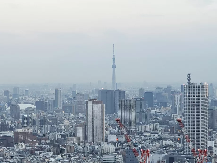 Clădirea guvernului metropolitan din Tokyo