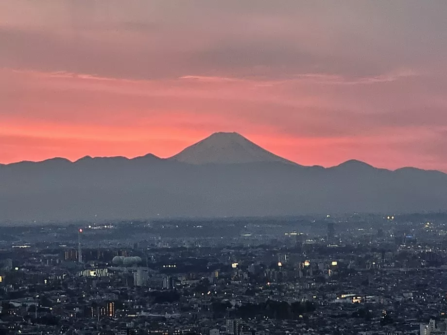 Muntele Fuji din clădirea guvernului metropolitan din Tokyo