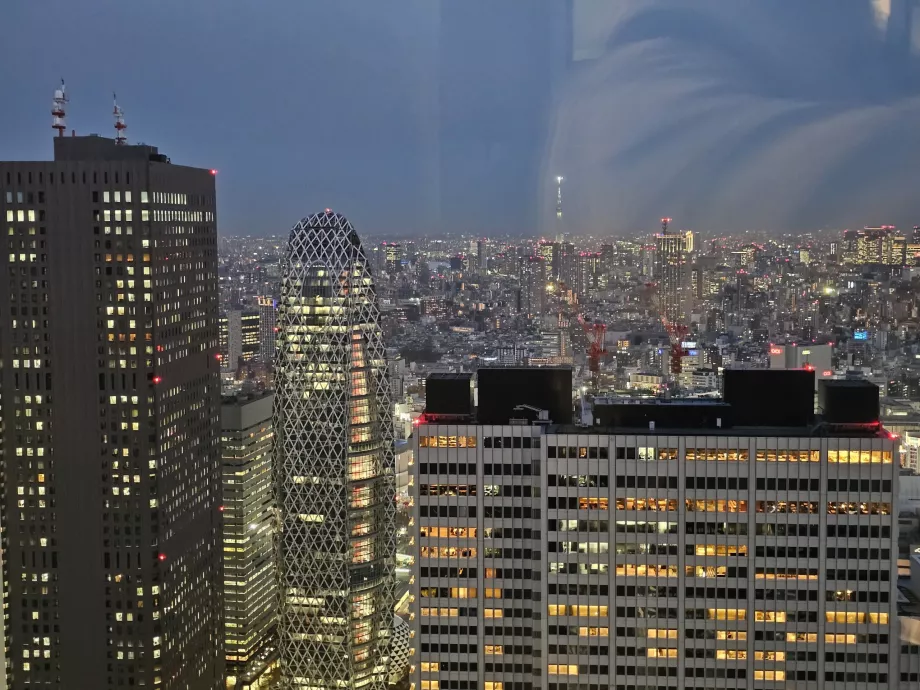 Clădirea guvernului metropolitan din Tokyo