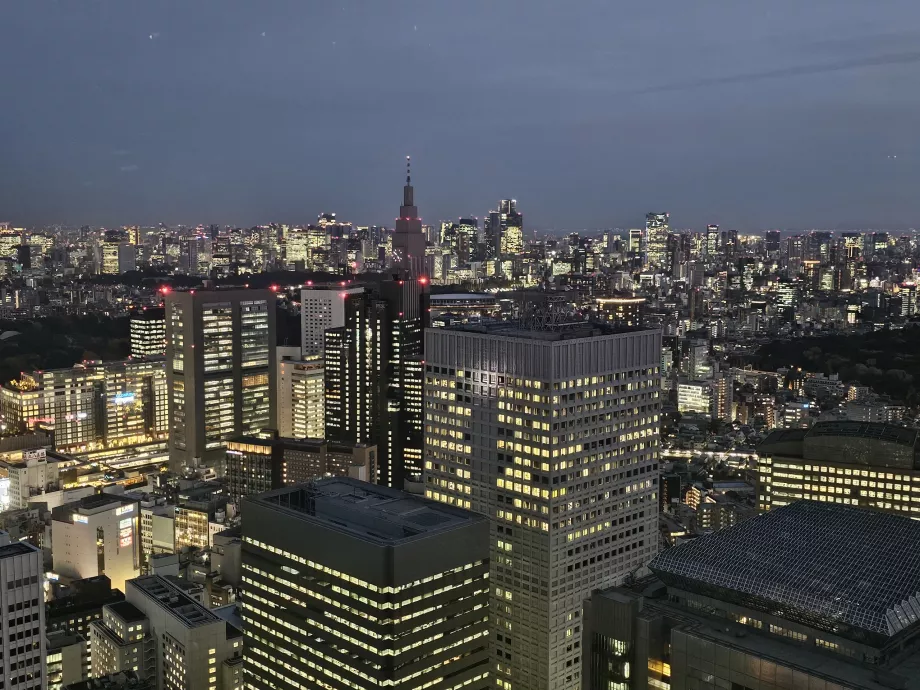 Clădirea guvernului metropolitan din Tokyo