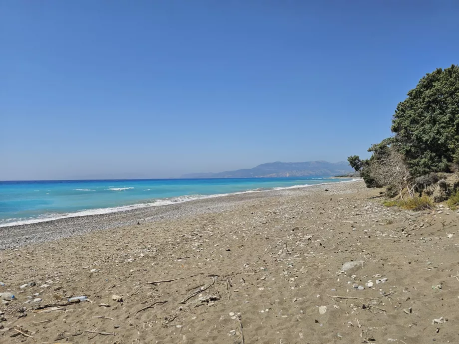 Plaja Limni