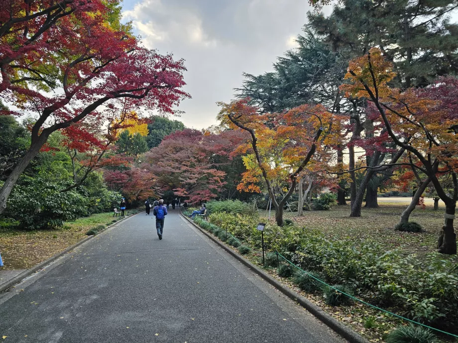 Grădina Națională Shinjuku Gyoen