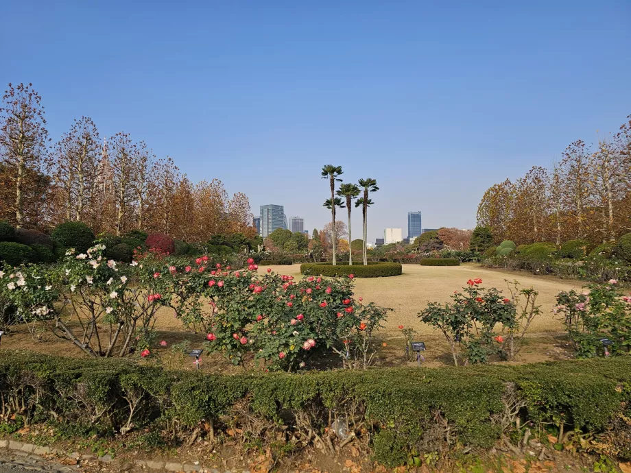 Grădina Națională Shinjuku Gyoen