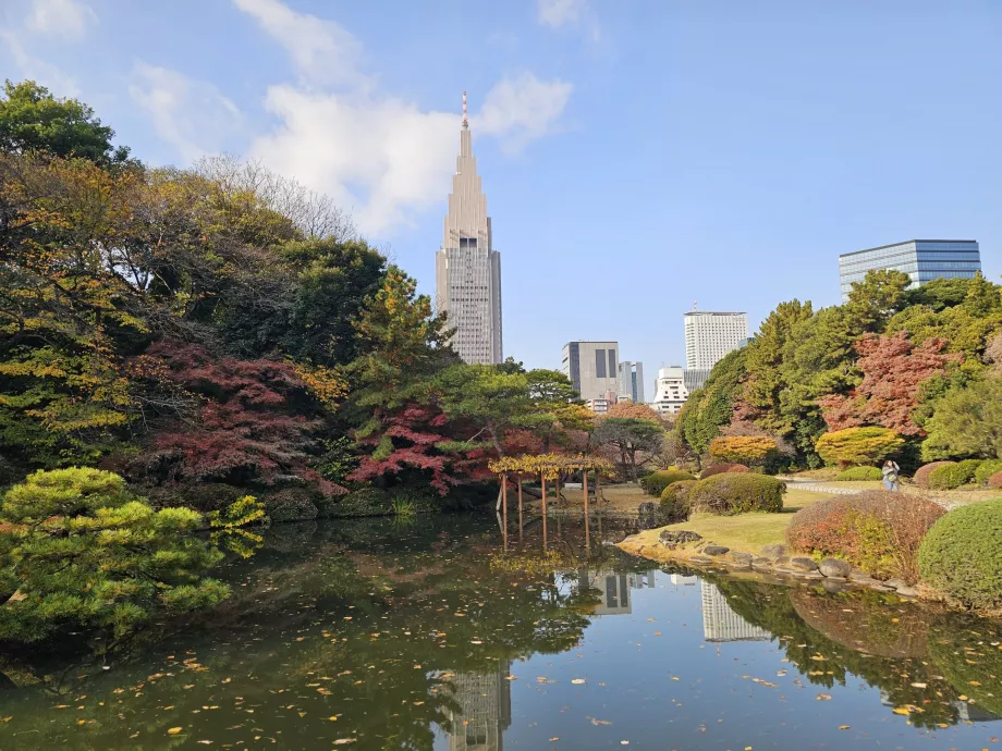 Grădina Națională Shinjuku Gyoen