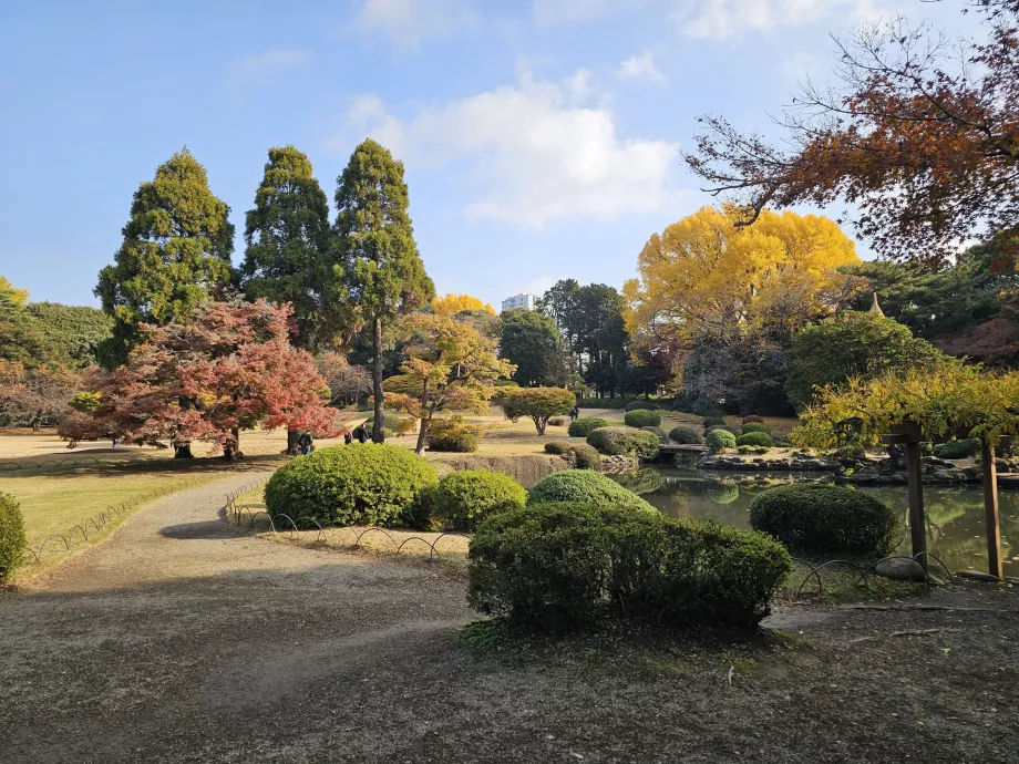 Grădina Națională Shinjuku Gyoen