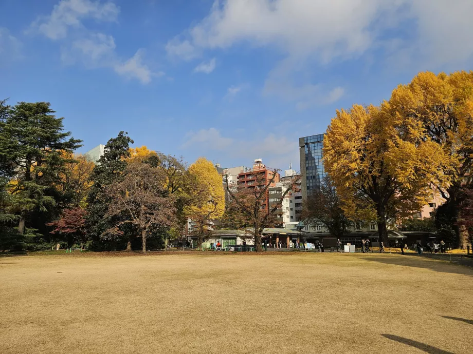 Grădina Națională Shinjuku Gyoen