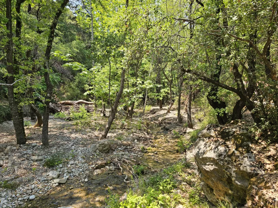 Valea fluturilor