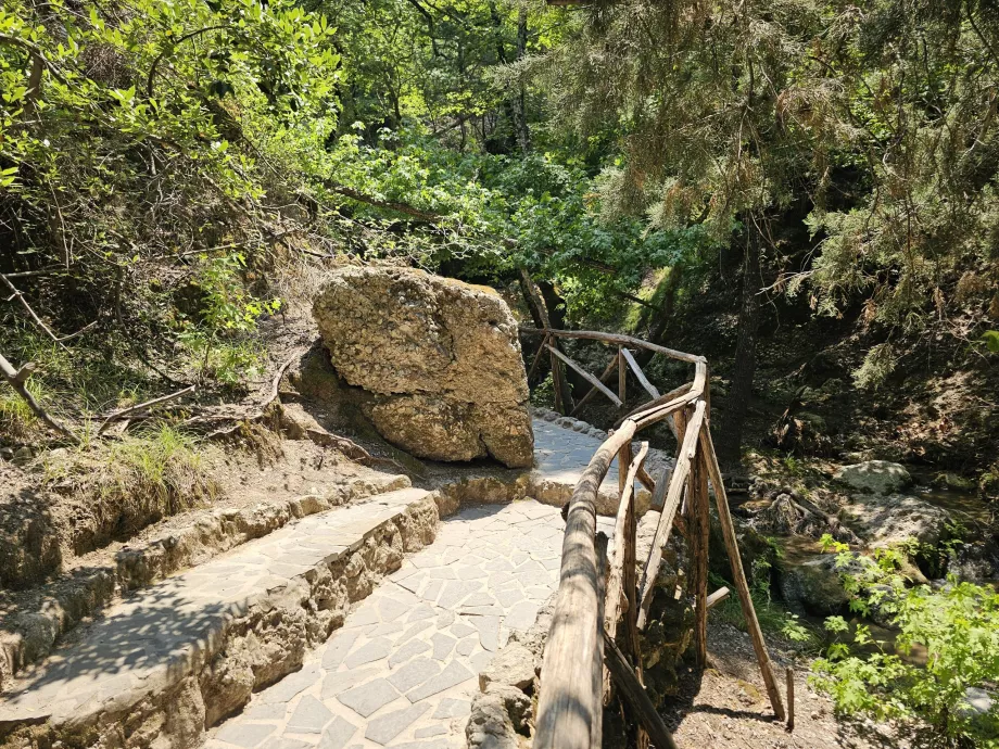 Valea fluturilor