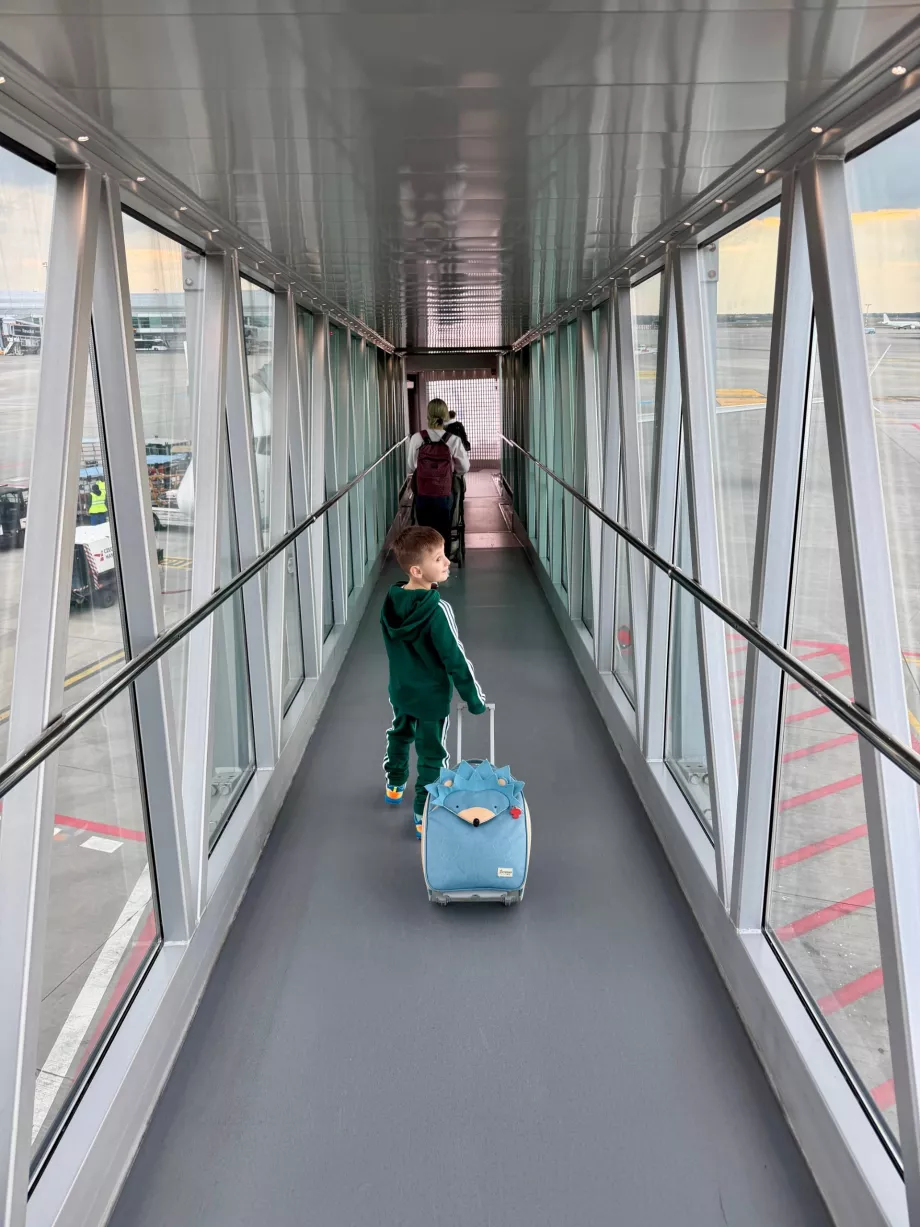 Îmbarcarea în avion