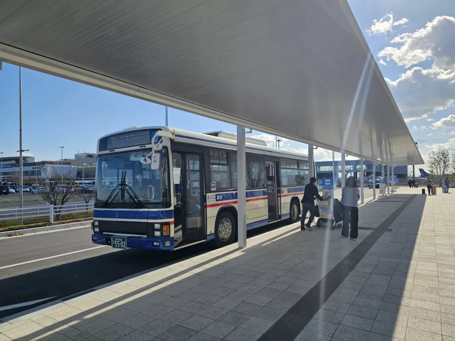 Autobuz navetă între terminale și docurile navelor