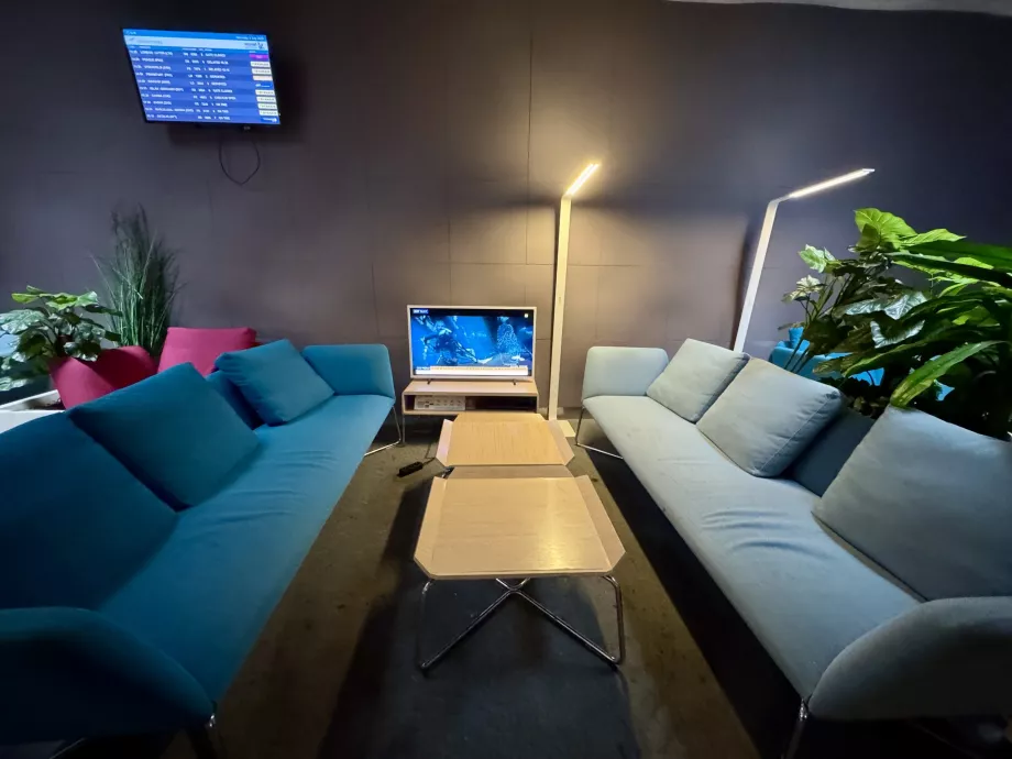 Scaune confortabile în partea din spate a salonului