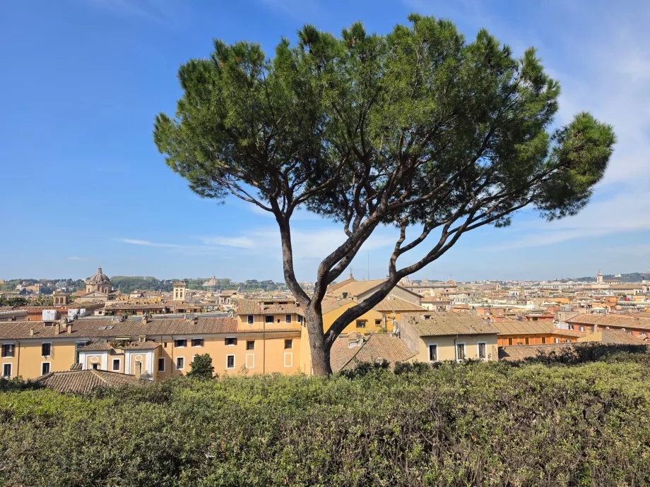 Galeria Colonna