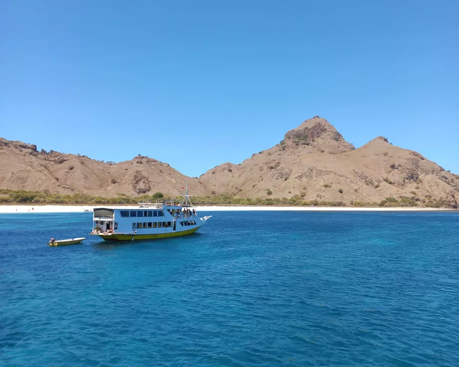 Insula Rinca, Insulele Komodo, Indonezia