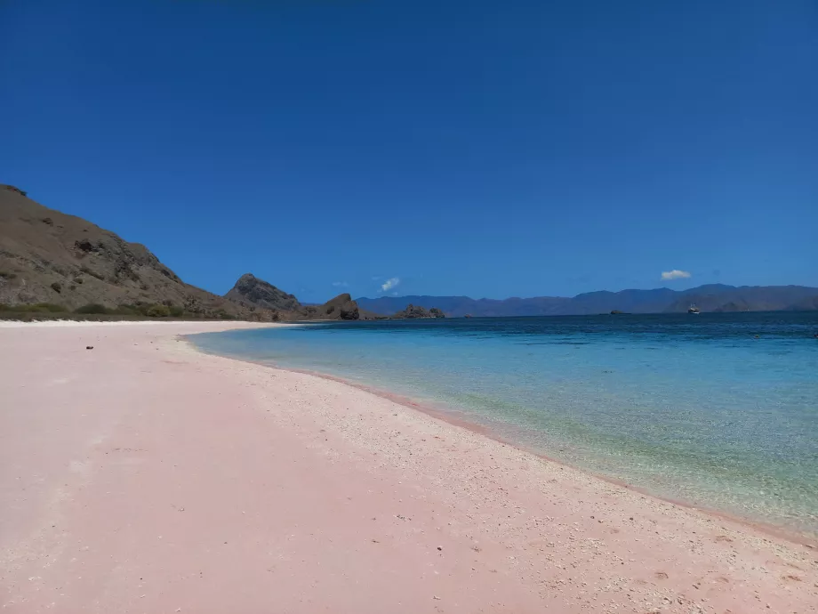 Plaja Pink, Insulele Komodo, Indonezia