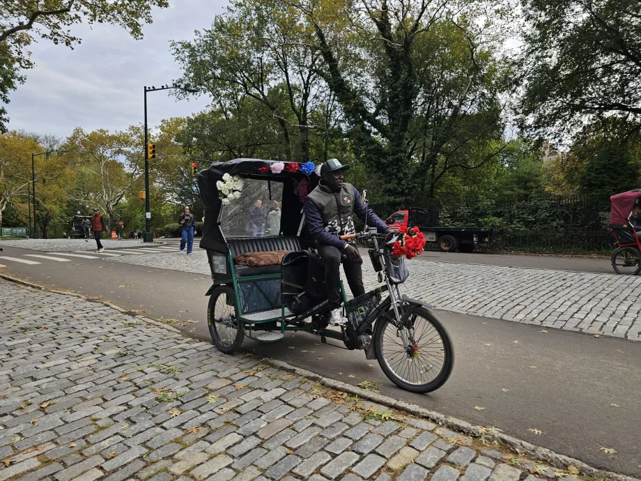 Rickshaw în Central Park