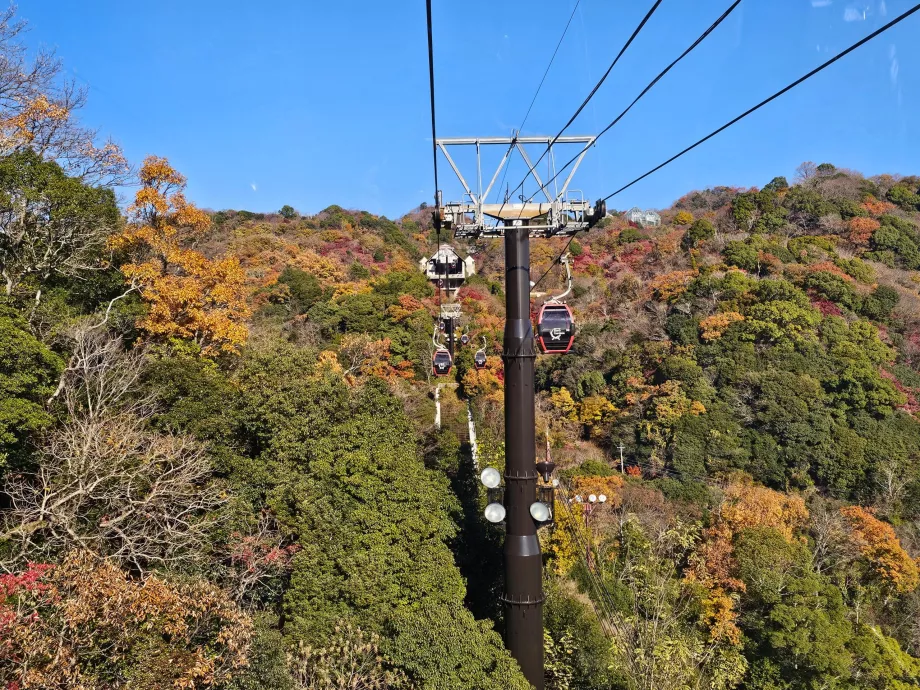 Vedere din telecabină