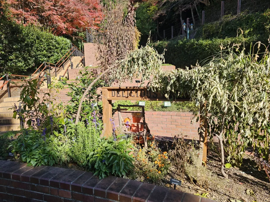 Grădinile de ierburi Nunobiki