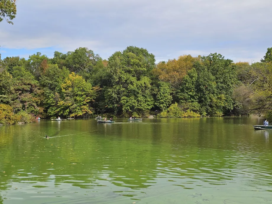 Lac în Parcul Central
