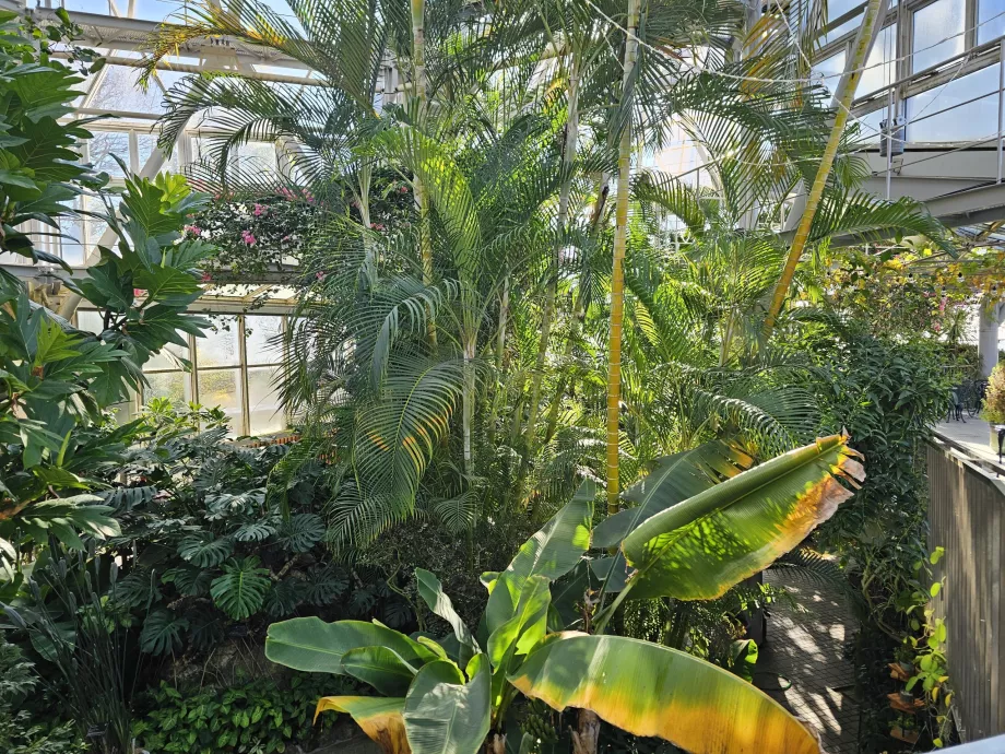 Sera de la Nunobiki Herb Gardens